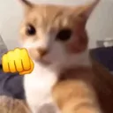 punito