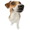 M_Report Discord Emoji