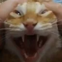 psycho