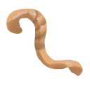worm
