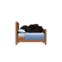 mothsleepy_theyareinbed