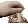 lilyapet lilyapet
