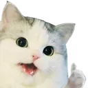 happycatok Discord Emoji
