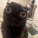 jinxy