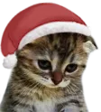 sadcatsanta