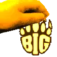 BIGpet