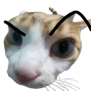 LoserDetector