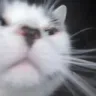 emoji_24
