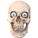 skulll