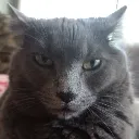 SmokeyStare