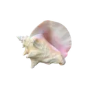 __________1_removebgpreview Discord Emoji