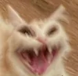 screm