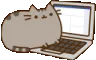 cat_keyboard