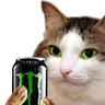 C_kiisumonster
