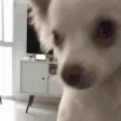 ruiKiss ruiKiss