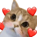 adorawunk adorawunk