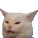 w_cat_what Discord Emoji