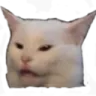 cat_ew Discord Emoji
