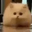 omghi