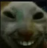 xdd xdd