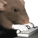 Ratting