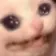 echplead