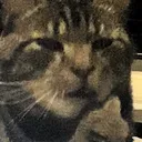 fricku