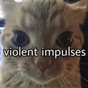 cat_violent