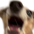 dinkGimme