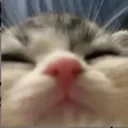 emoji_68