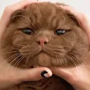 emoji_43