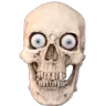 bruhskull