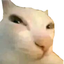 suspicious Discord emoji