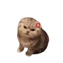 Kitty_angy Discord Emoji