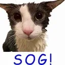 word_SOG