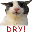 word_DRY