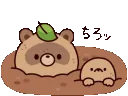 tanukipopup