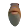 cfish