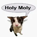 sog_holymoly sog_holymoly