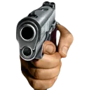 Gun
