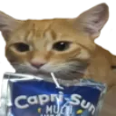 capricat