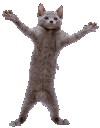 catdance Discord Emoji