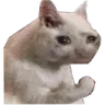 GE_Catuglycry3