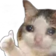 tokyThisThumbUpMeansAlot