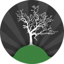 treefotor20230929135857