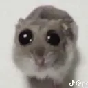 pleaseee