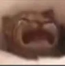 V_WAAAAAAAAAAAAA