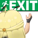 Succi_Exit