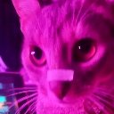 kitkat