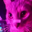 kitkat Discord Emoji